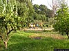 Foto 026